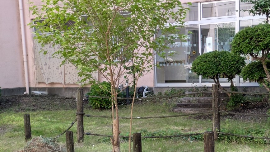 掲載写真②(共生会
